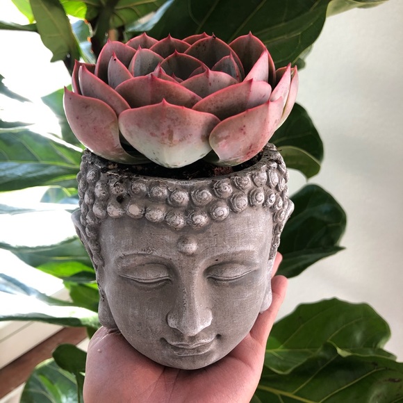 Zen planter - Picture 3 of 4